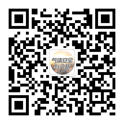 氧含量分析仪_顺磁氧分析仪_激光氧分析仪_电化学氧分析仪